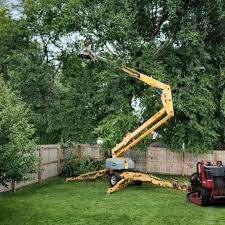 Reliable North Industry, OH Tree Care Solutions